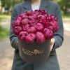 25 пионов Канзас в коробке